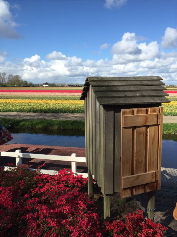 champs de tulipes hollande jardin de keukenhof millemariages